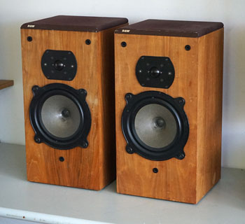 Bowers and Wilkins DM22